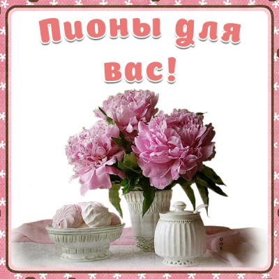 Открытка пионы для вас