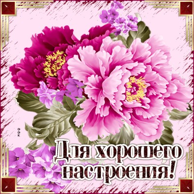Открытка пионы тебе на счастье