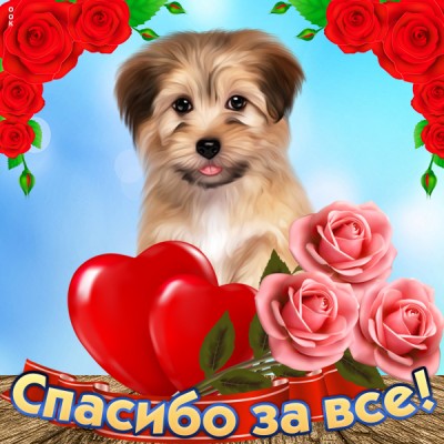 Картинка посылаю тебе искреннее спасибо