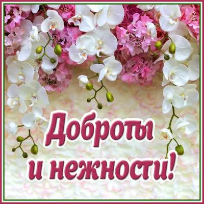 Picture потешная открытка с пожеланиями