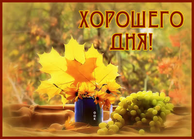 Postcard потешная открытка хорошего дня