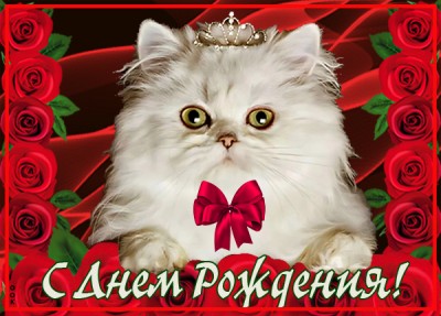 Открытка поздравительная открытка с днем рождения