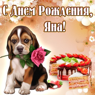 Открытка поздравительная открытка с днём рождения яна