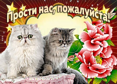Картинка пожалуйста, прости нас
