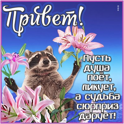 Открытка позитивная картинка привет