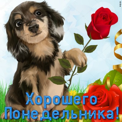 Картинка позитивная картинка с понедельником