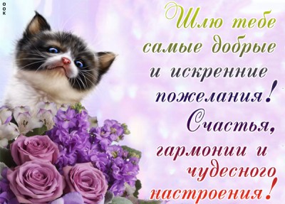 Картинка позитивная картинка с пожеланием