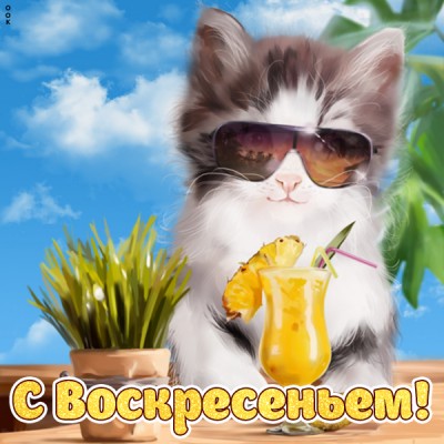 Картинка позитивная картинка с воскресеньем