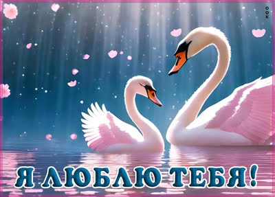 Picture позитивная картинка я люблю тебя