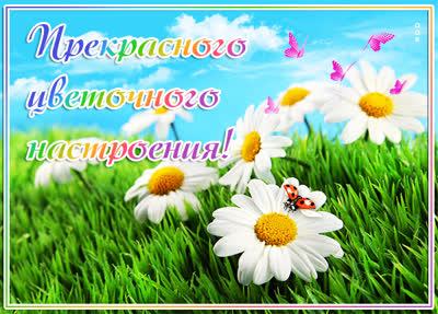 Postcard позитивная открытка с цветами