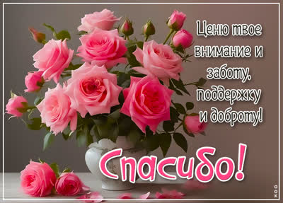 Picture праздничная открытка спасибо
