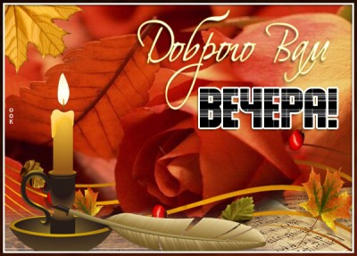 Открытка прекрасная картинка  доброго вам вечера с розой