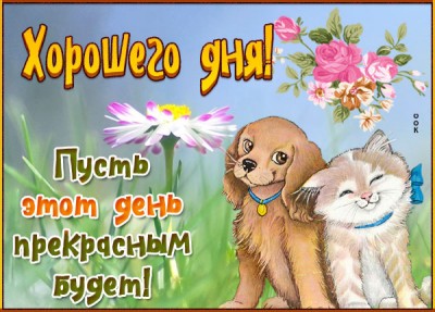 Картинка прекрасная картинка хорошего дня
