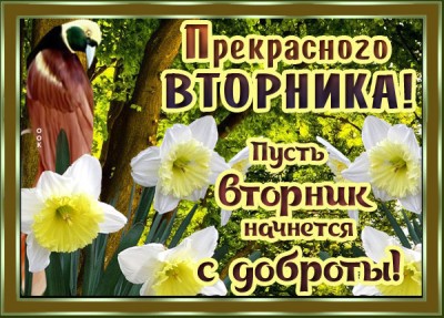Открытка прекрасная картинка с вторником
