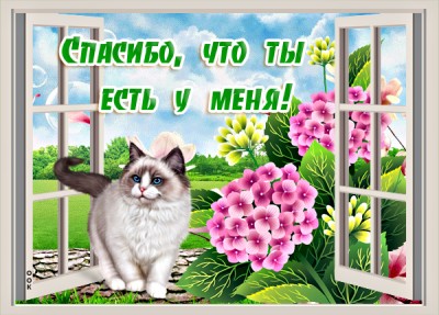 Картинка прекрасная картинка спасибо