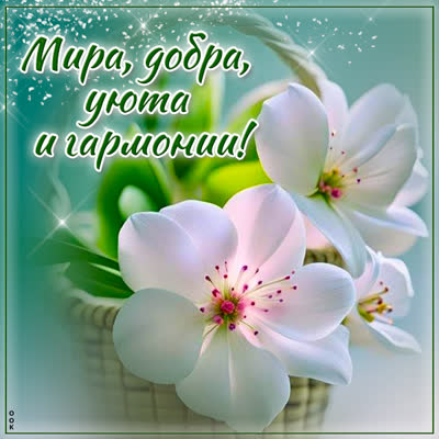 Postcard прекрасная открытка мира, добра, уюта и гаромонии