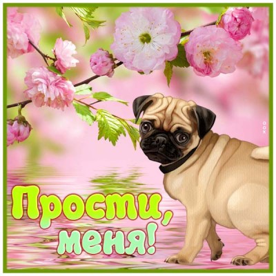 Открытка прекрасная открытка прости