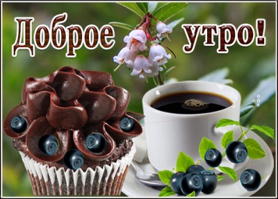Открытка прекрасная открытка  с добрым утром