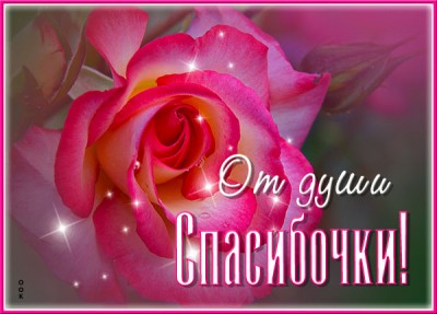Картинка прекрасная открытка спасибо