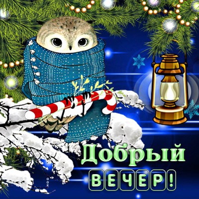Картинка прекрасная зимняя открытка добрый вечер