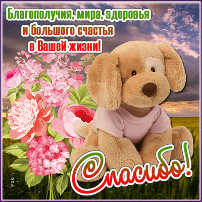Picture прелестная картинка благодарю