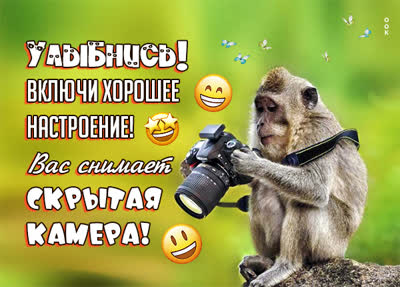 Picture прелестная открытка  улыбнись