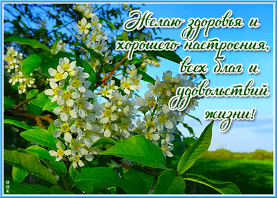 Picture прелестная открытка желаю здоровья