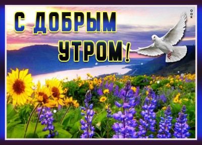 Открытка превосходная картинка доброе утро