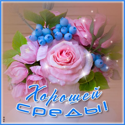 Открытка превосходная картинка со средой