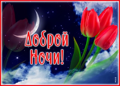 Картинка превосходная открытка спокойной ночи