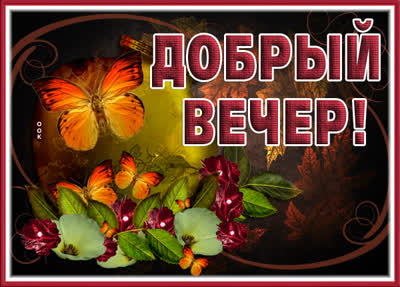 Postcard прикольная картинка добрый вечер