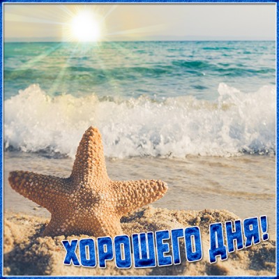 Открытка прикольная картинка хорошего дня