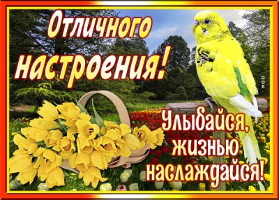 Картинка прикольная картинка хорошего настроения с надписями