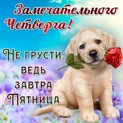 Открытка прикольная картинка с четвергом