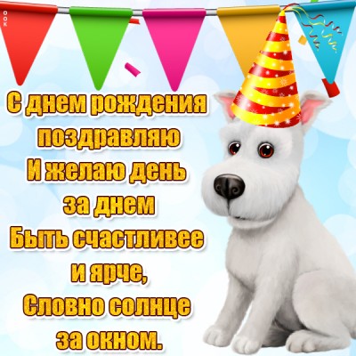 Картинка прикольная картинка с днем рождения с пожеланиями