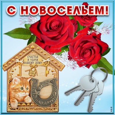 Картинка прикольная картинка с новосельем