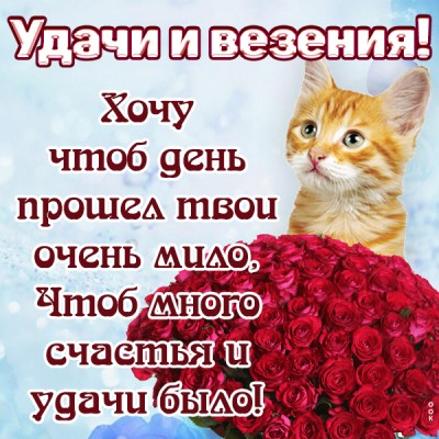 Открытка прикольная картинка с пожеланиями