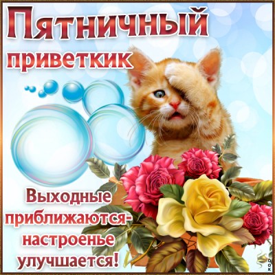 Открытка прикольная картинка с пятницей