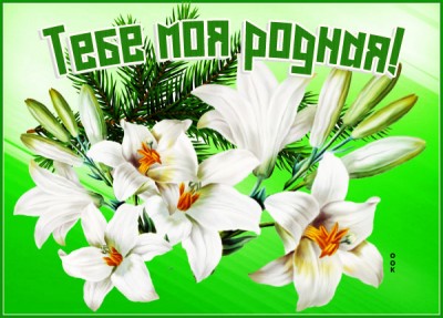 Открытка прикольная картинка с цветами