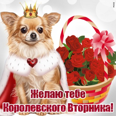 Открытка прикольная картинка с вторником