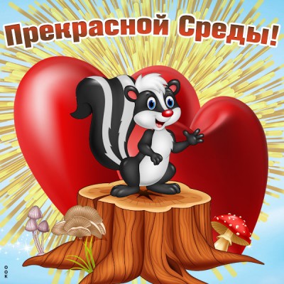 Картинка прикольная картинка  со средой