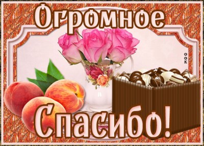 Открытка прикольная картинка спасибо