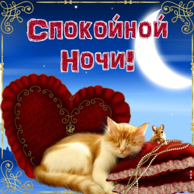 Открытка прикольная картинка спокойной ночи