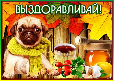 Открытка прикольная картинка выздоравливай скорее