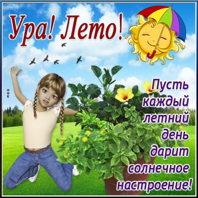Картинка прикольная открытка про лето