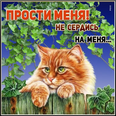 Картинка прикольная открытка прости