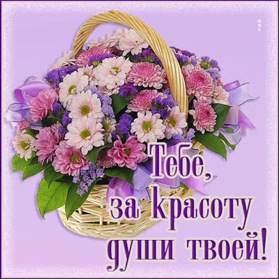Picture прикольная открытка тебе за красоту души твоей