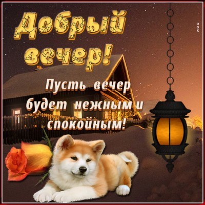 Картинка привлекательная открытка добрый вечер
