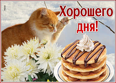 Picture привлекательная открытка хорошего дня