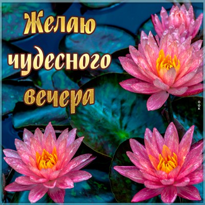 Открытка приятная картинка добрый вечер